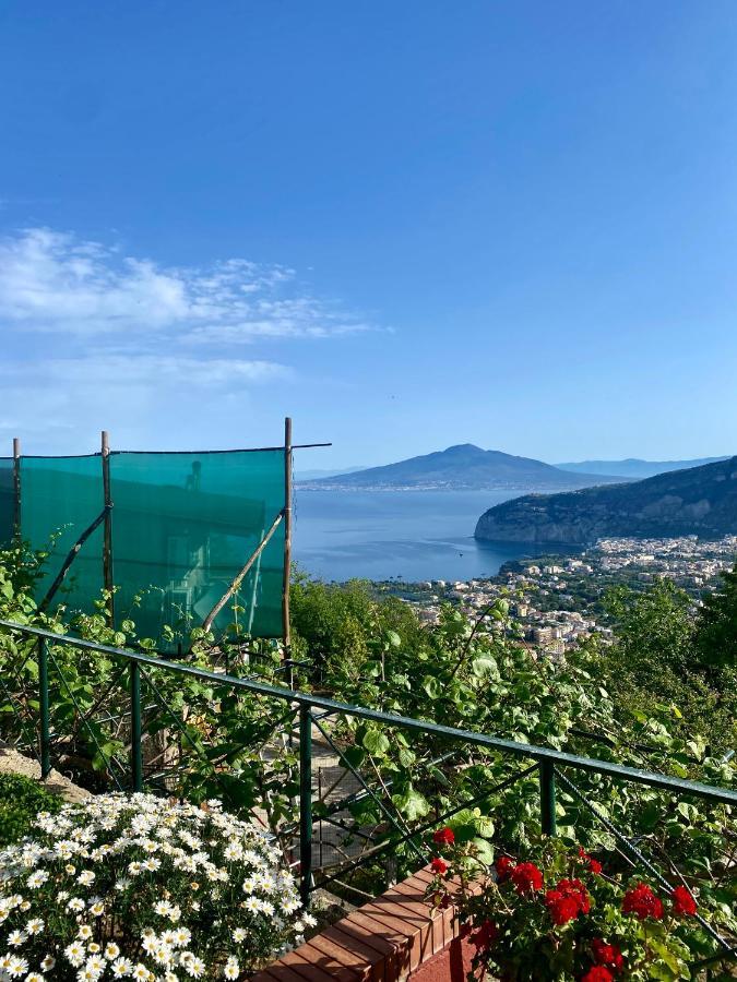 Villa Monica B&B Sorrento Kültér fotó